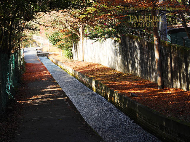 171205京都8-3 南禅寺 4.jpg