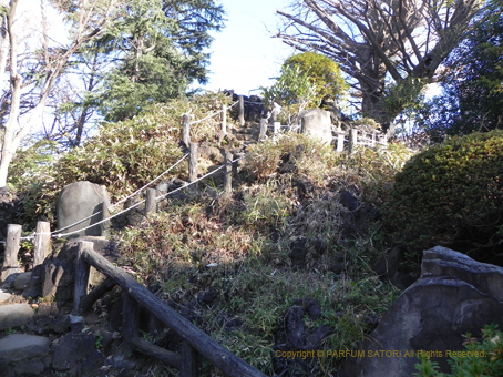 20160103 鳩森神社富士塚.jpg