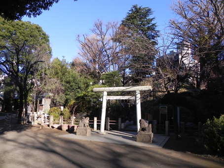 20160103 鳩森神社富士塚4.jpg