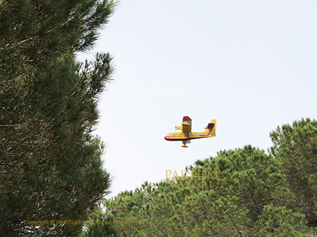 20160604島飛行機.jpg