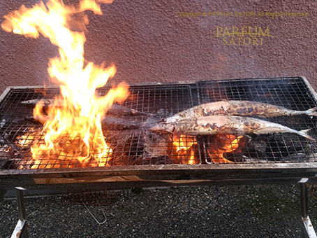 20160928サンマ２.jpg