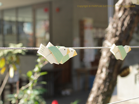 20161117鳩森神社.jpg