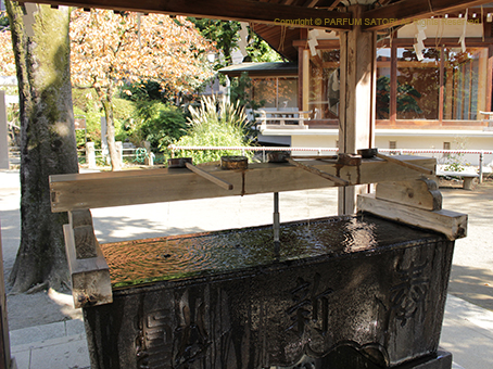 20161117鳩森神社3.jpg