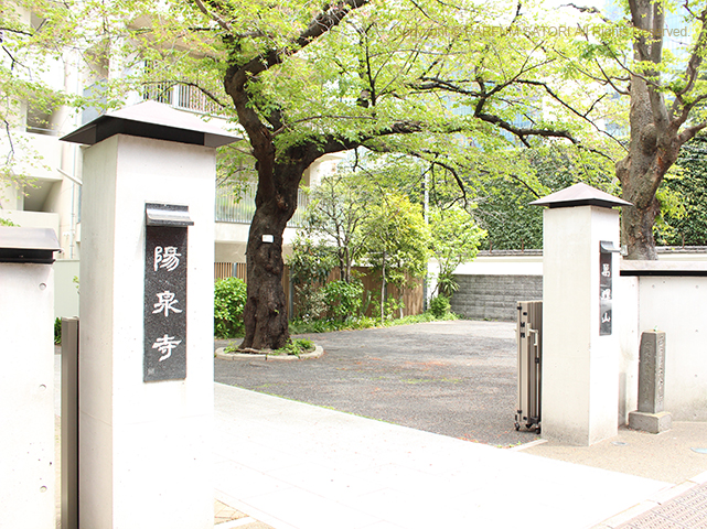 20180409枝垂桜お寺.jpg