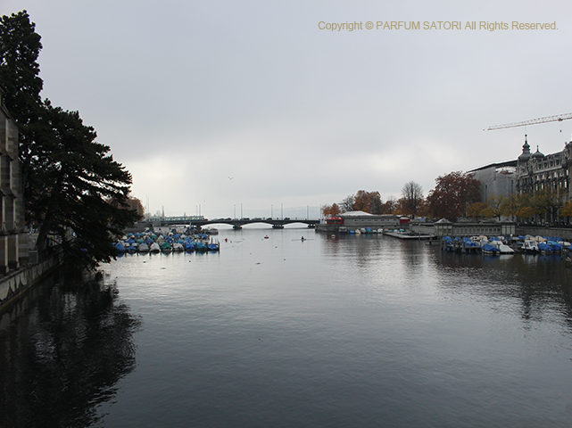 20181110Zurich11river.jpg