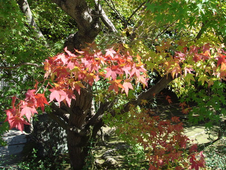 f:id:parfum30:20061009125508j:image