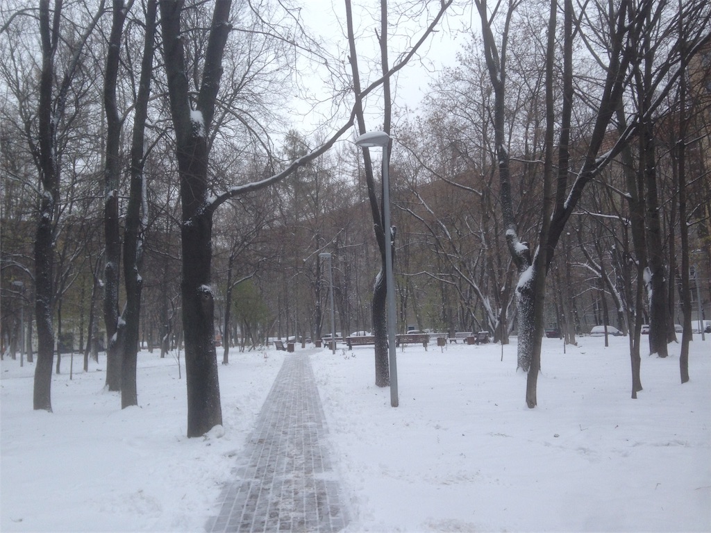 モスクワの雪事情 パリのちモスクワ