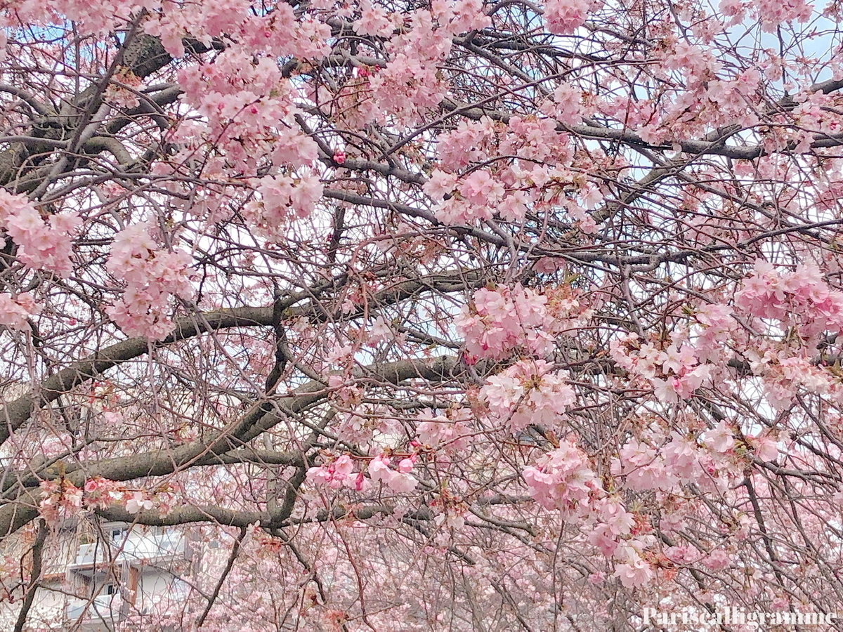 f:id:pariscalligramme:20210326035121j:plain