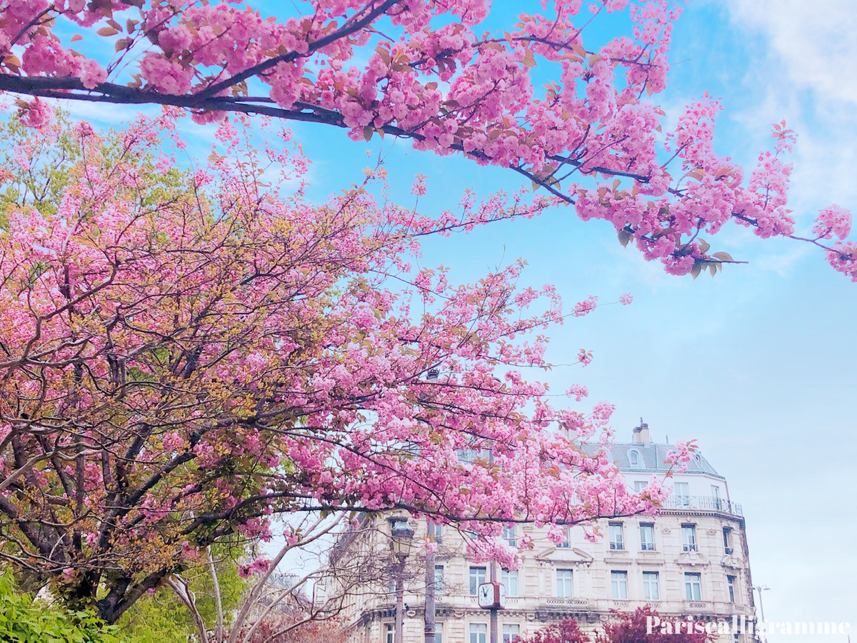 f:id:pariscalligramme:20210409081450j:plain