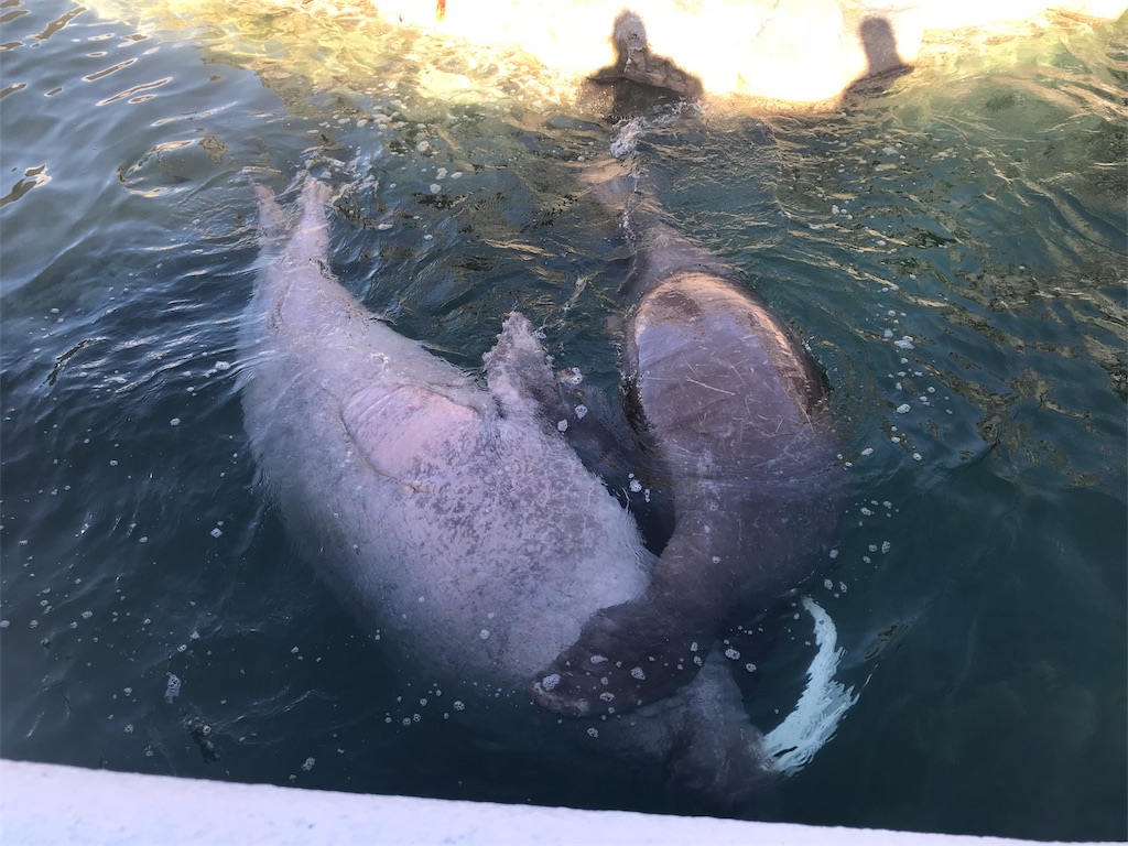 f:id:parlapensee:20180218184357j:image