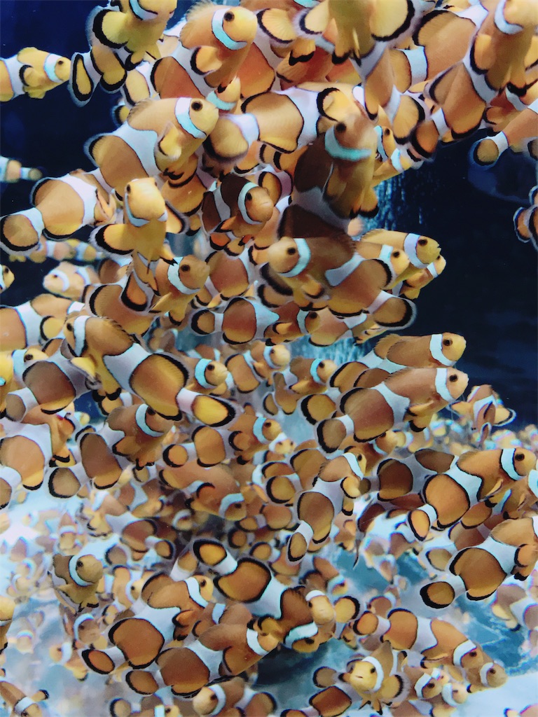 f:id:parlapensee:20180218184424j:image