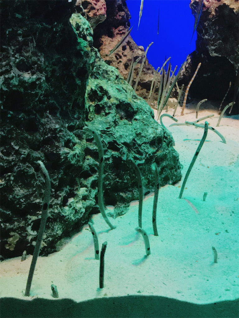 f:id:parlapensee:20180218184447j:image