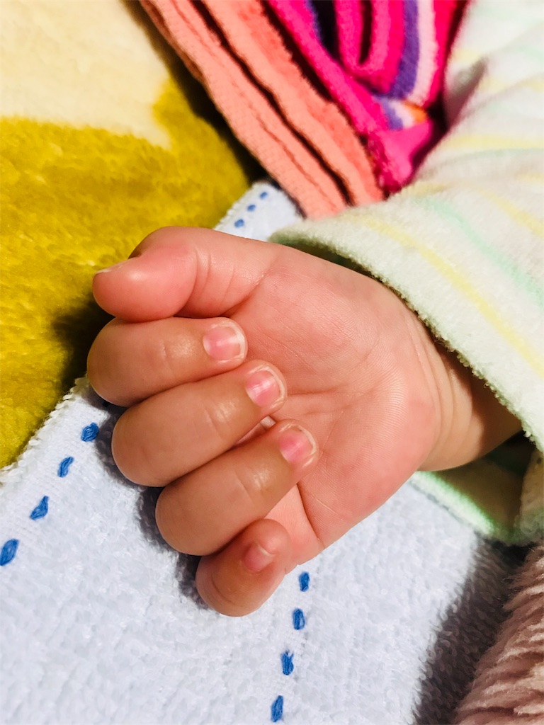 f:id:parlapensee:20180430234515j:image