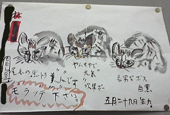 20080813202846