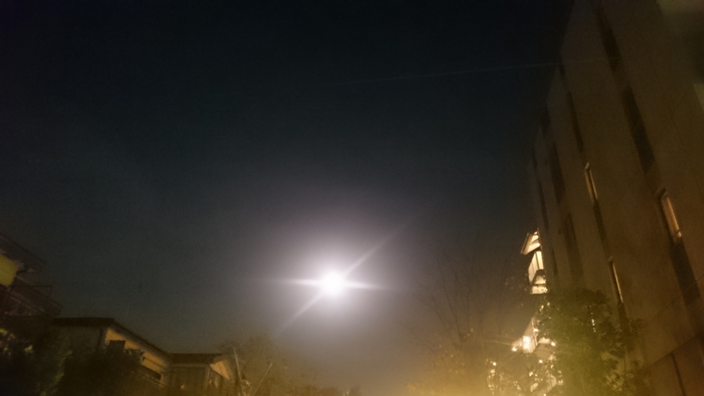 f:id:parnature:20161113225933j:plain f:id:parnature:20161113225933j:plain