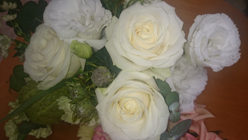 f:id:parnature:20161113231543j:plain f:id:parnature:20161113231543j:plain