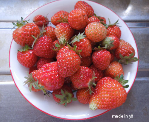 f:id:parotta:20190518143228j:plain f:id:parotta:20190518143228j:plain