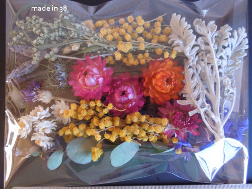 f:id:parotta:20190617193758j:plain