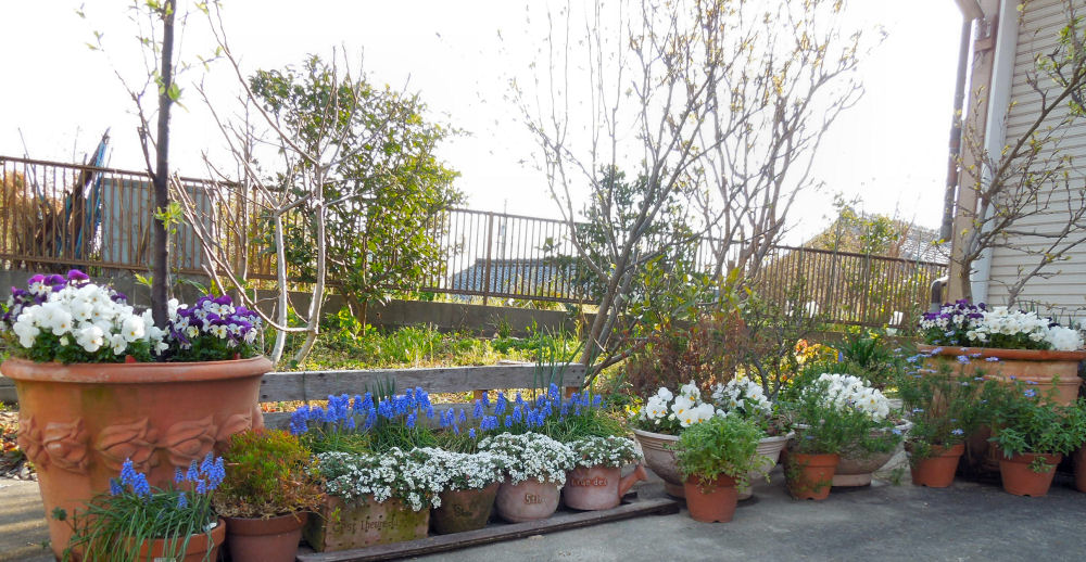 f:id:parotta:20201008101201j:plain