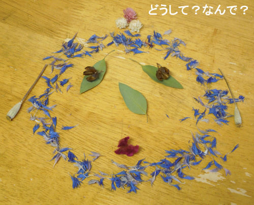 f:id:parotta:20201024102810j:plain f:id:parotta:20201024102810j:plain