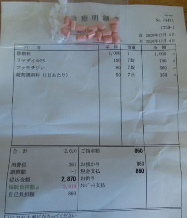 犬の薬代 よそのワンコの薬代が気になる ネットぐるぐる目が回る