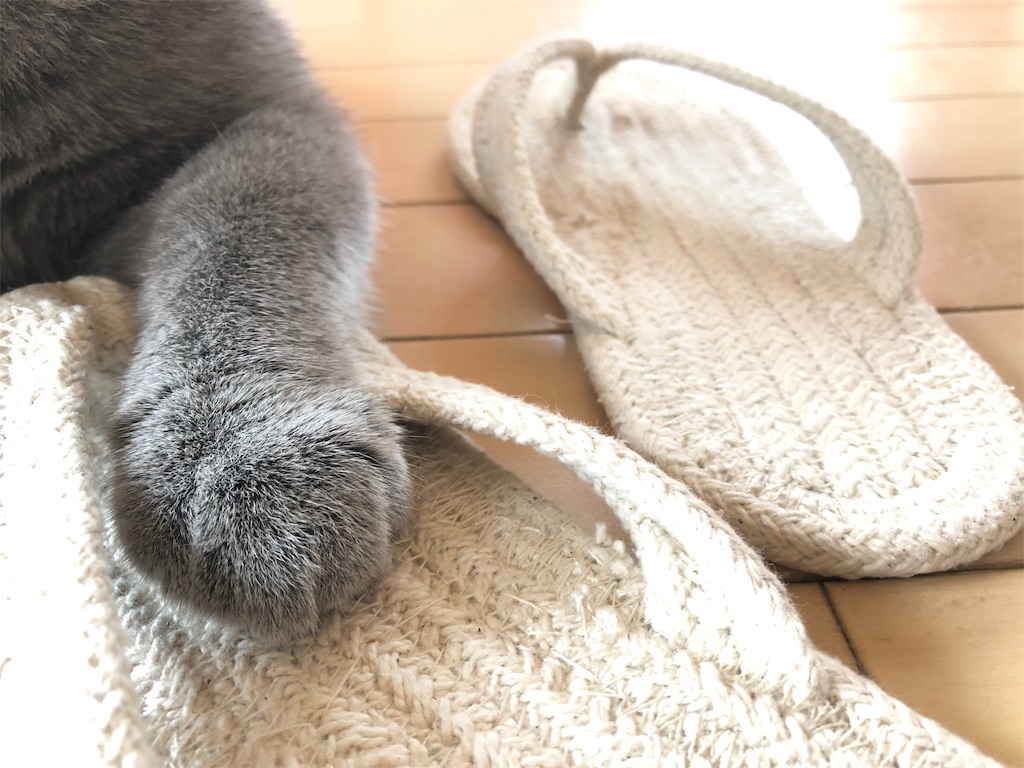 f:id:parrot624:20190528185134j:image