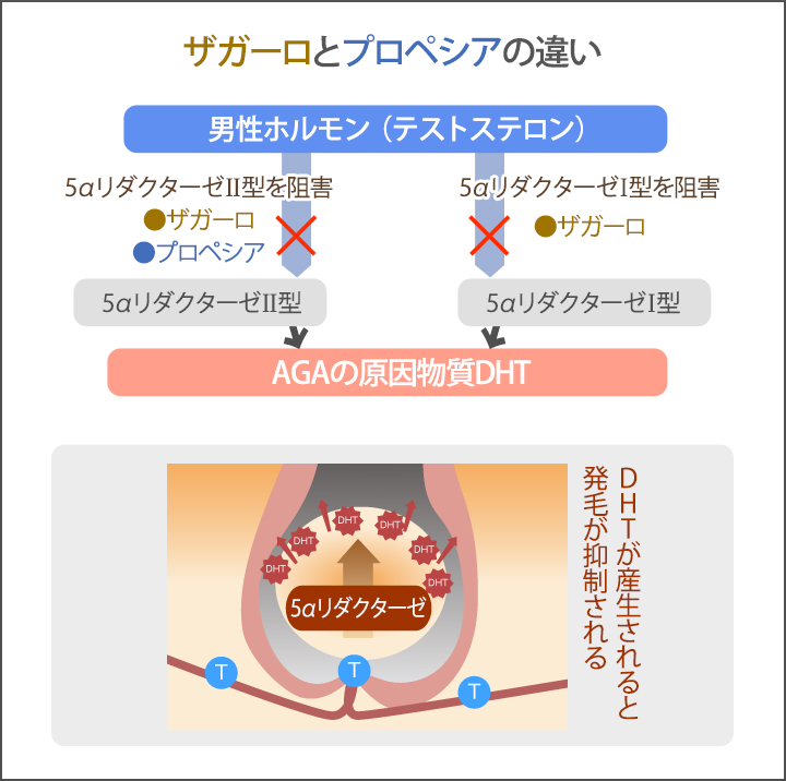 f:id:participantlink:20190509222201j:plain f:id:participantlink:20190509222201j:plain