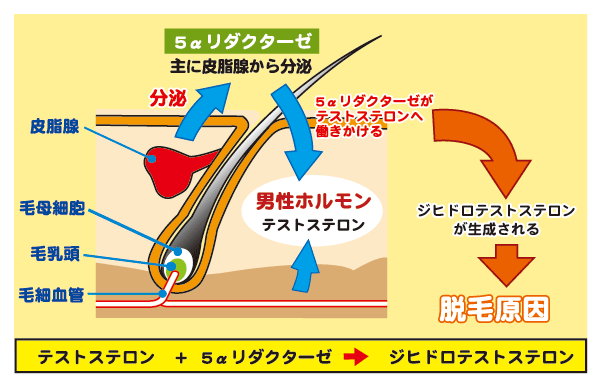 f:id:participantlink:20190509222336p:plain f:id:participantlink:20190509222336p:plain