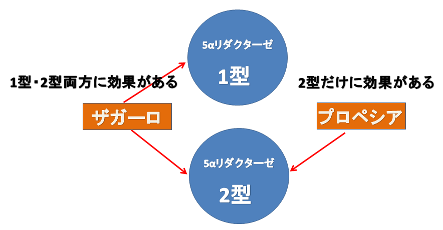 f:id:participantlink:20190509222618p:plain f:id:participantlink:20190509222618p:plain