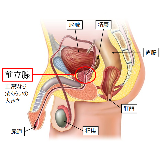 f:id:participantlink:20190509222655p:plain f:id:participantlink:20190509222655p:plain