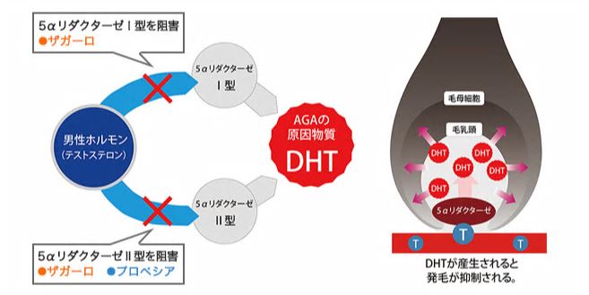f:id:participantlink:20190614143300j:plain f:id:participantlink:20190614143300j:plain