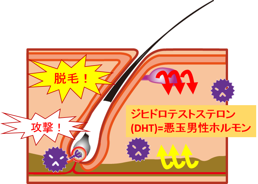 f:id:participantlink:20190614144624p:plain f:id:participantlink:20190614144624p:plain