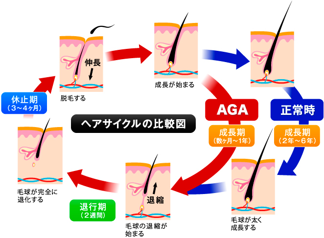f:id:participantlink:20190713003416j:plain f:id:participantlink:20190713003416j:plain