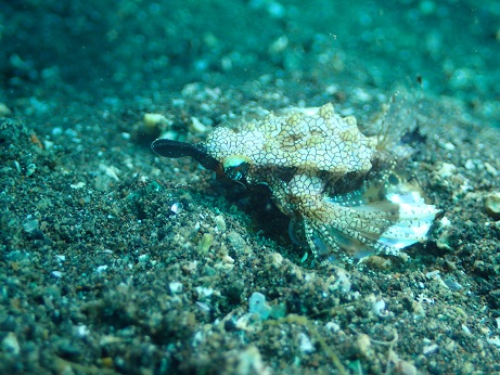 f:id:partner2010:20170921123722j:image f:id:partner2010:20170921123722j:image