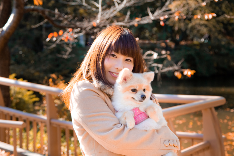 f:id:party-find:20121227123040j:plain f:id:party-find:20121227123040j:plain