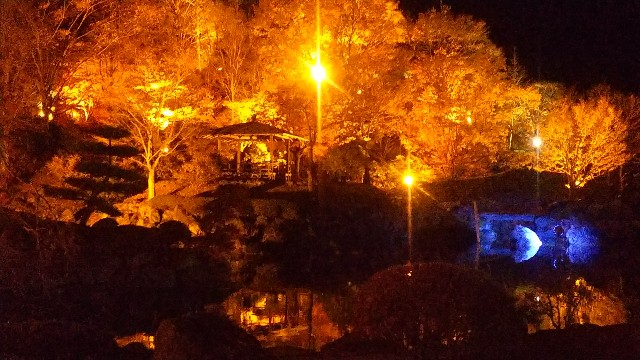 f:id:parun:20171122103842j:image f:id:parun:20171122103842j:image