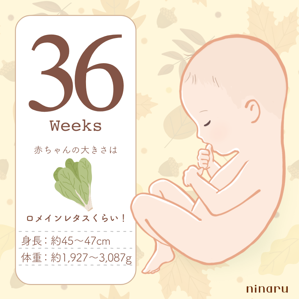 f:id:parunatsuta:20230918091346p:image