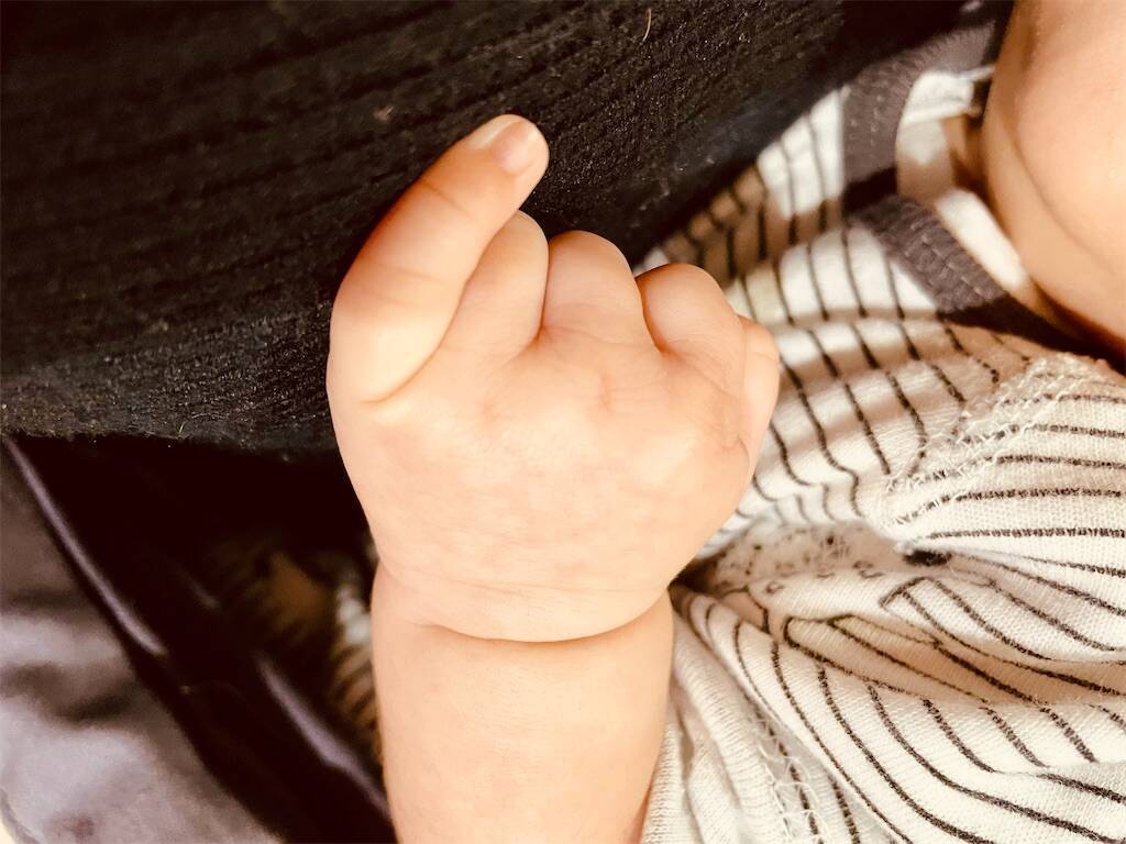 f:id:parunatsuta:20231208122457j:image