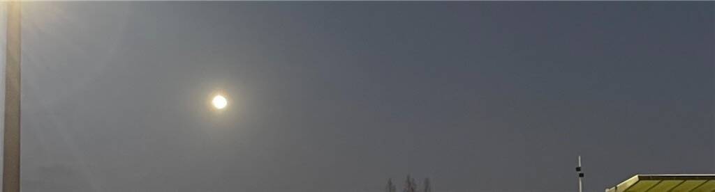 f:id:parunatsuta:20240129233659j:image f:id:parunatsuta:20240129233659j:image