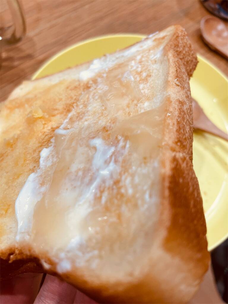 f:id:parunatsuta:20240219103049j:image