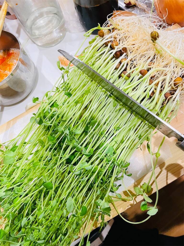 f:id:parunatsuta:20240322231252j:image