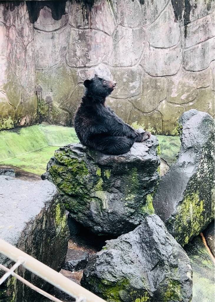 f:id:parunatsuta:20240410134700j:image