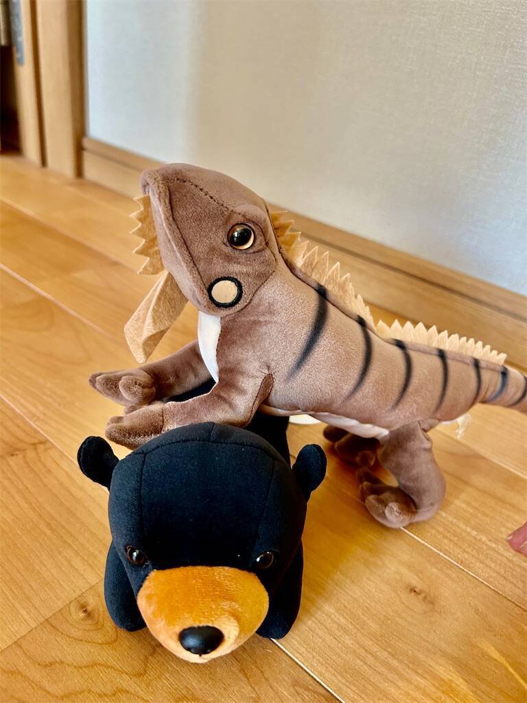 f:id:parunatsuta:20240410134736j:image