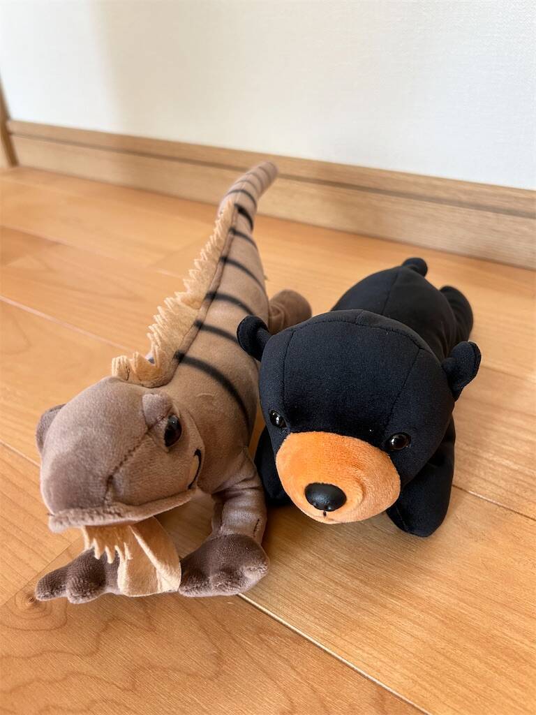 f:id:parunatsuta:20240410134741j:image