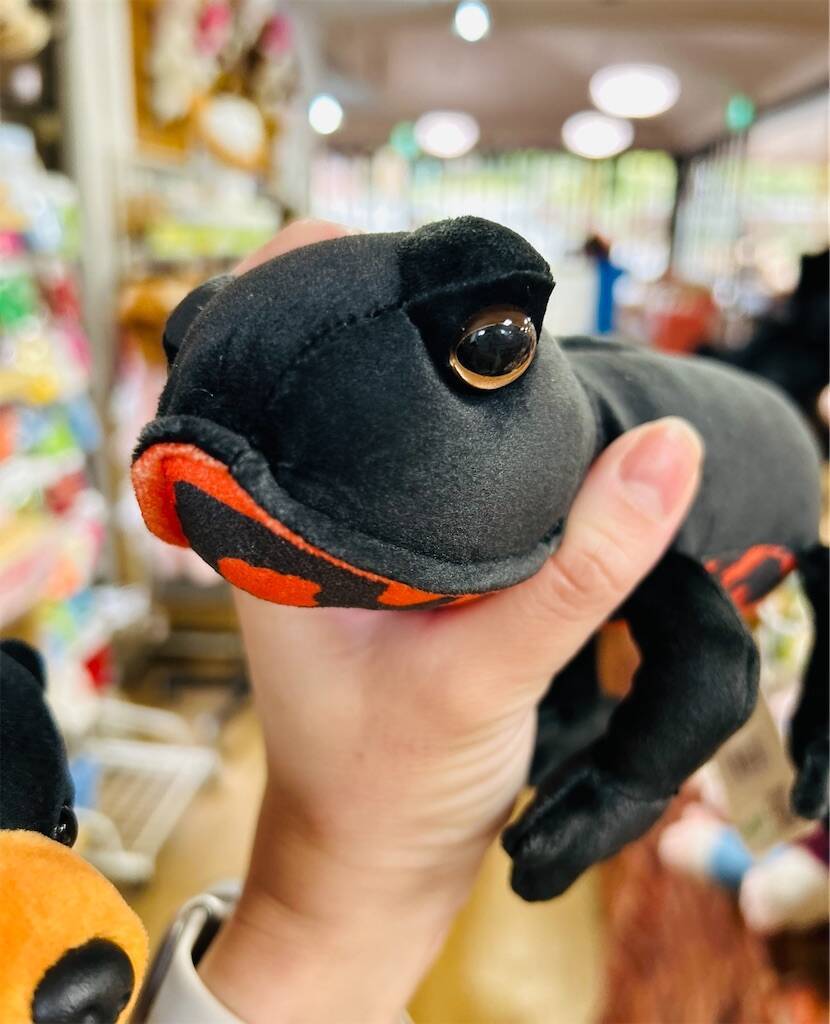 f:id:parunatsuta:20240410134818j:image