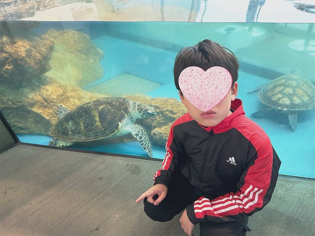 f:id:parunatsuta:20240416133031j:image