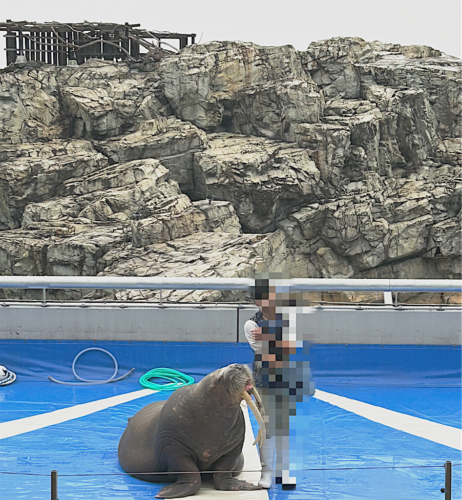 f:id:parunatsuta:20240416133112p:image