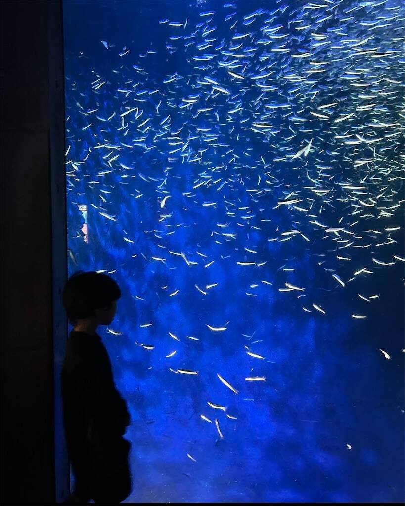 f:id:parunatsuta:20240416133237j:image