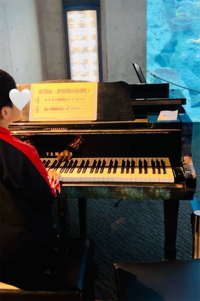 f:id:parunatsuta:20240416133314j:image