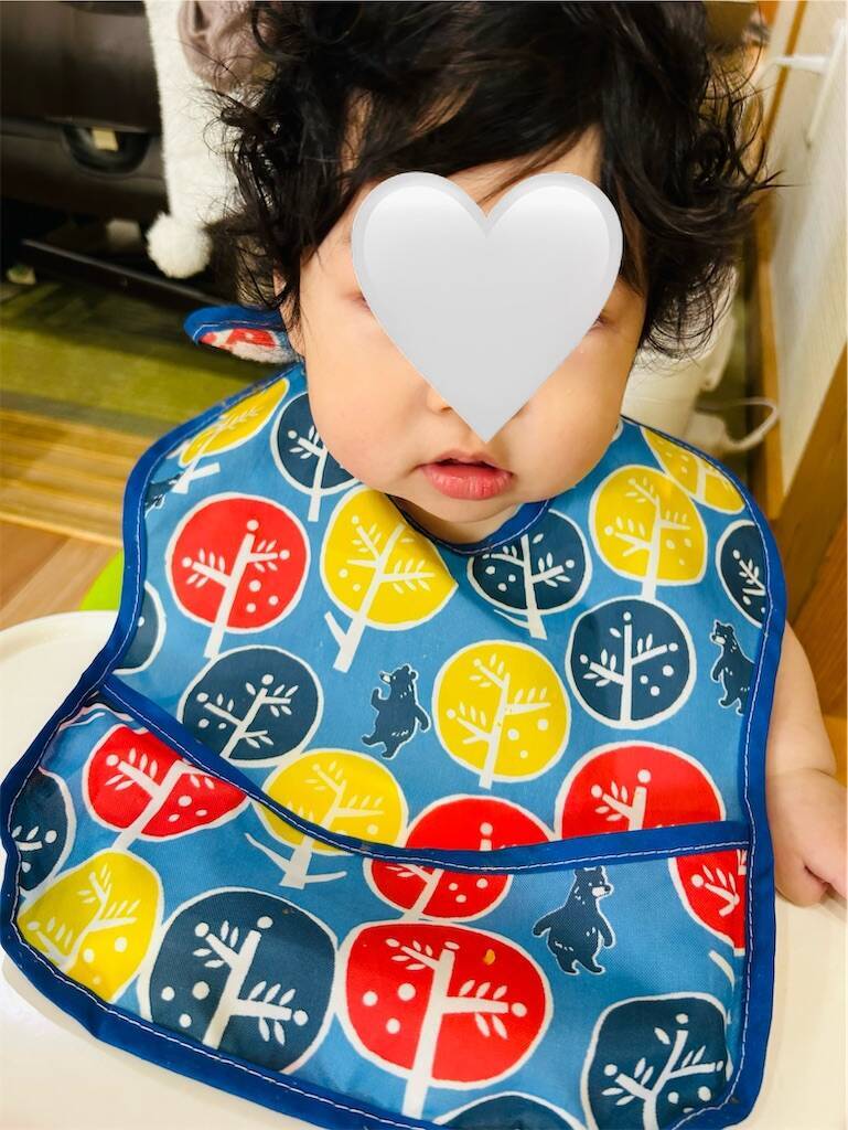 f:id:parunatsuta:20240426121821j:image